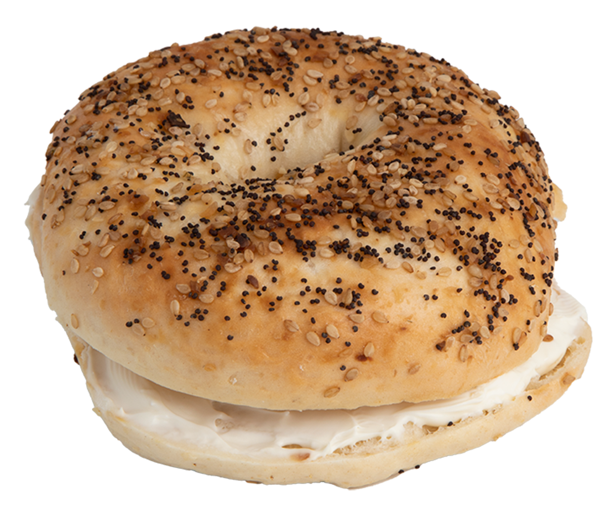 Everything Bagel Aroma Joe s